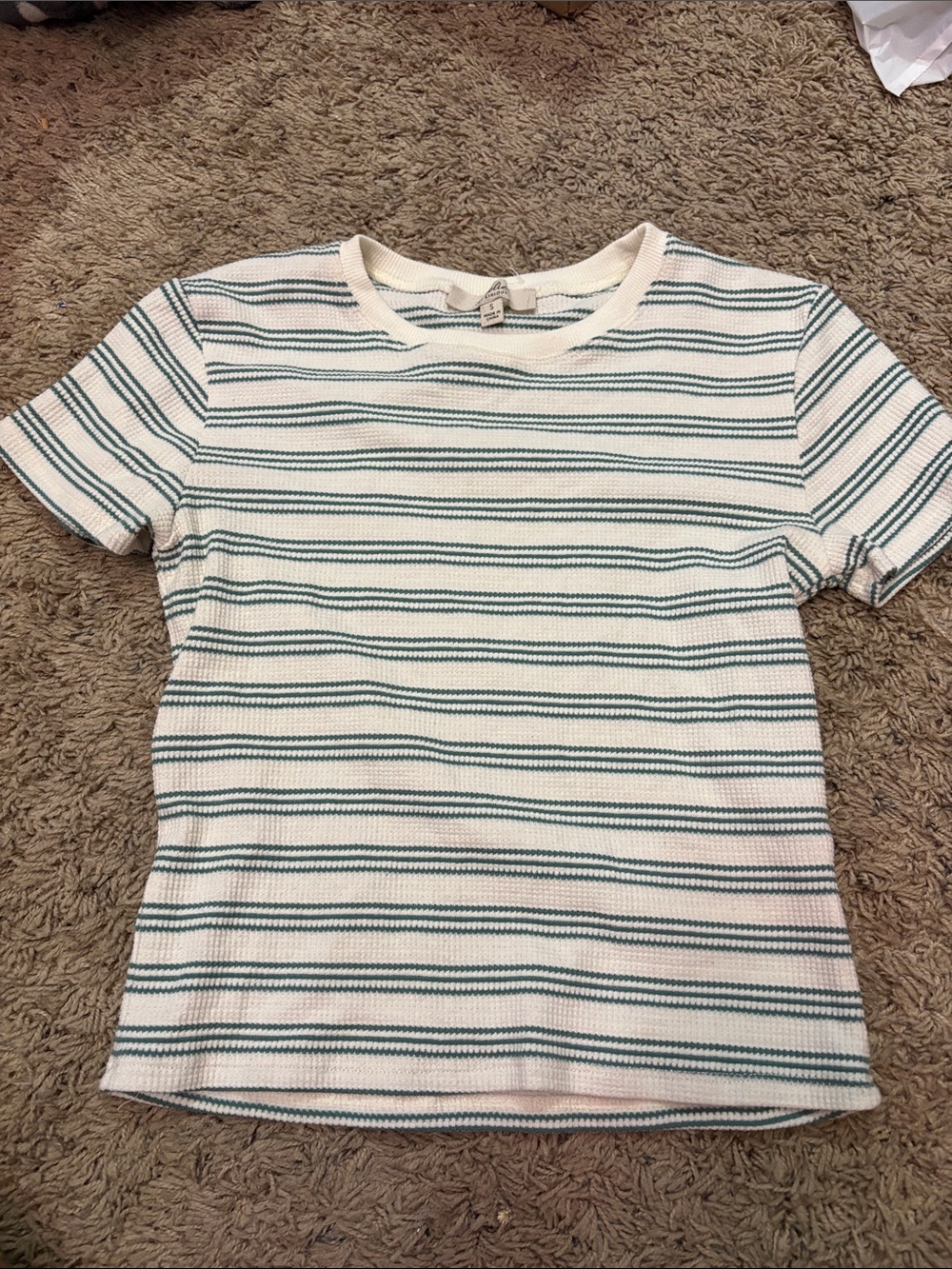 Striped Short Sleeve Crop Top - Cream & Teal
